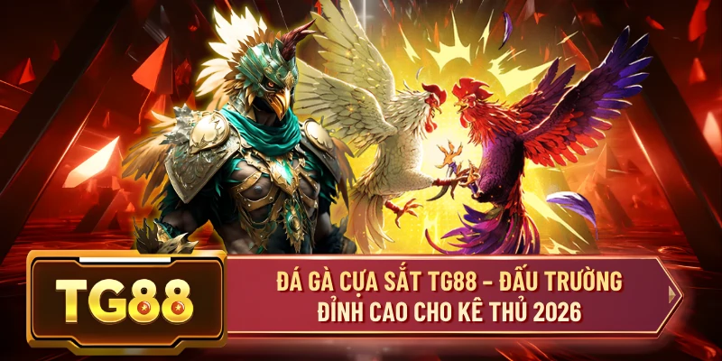 Đá Gà Cựa Sắt TG88 – Đấu Trường Đỉnh Cao Cho Kê Thủ 2026