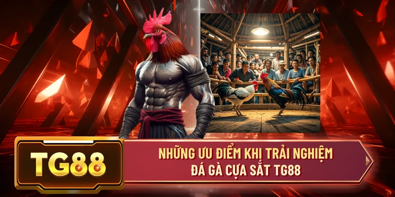 Những Ưu Điểm Khi Trải Nghiệm Đá Gà Cựa Sắt TG88